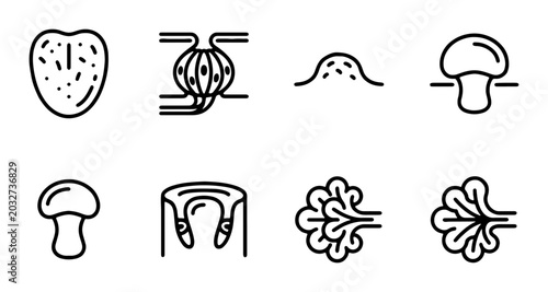 Tableau sur toile Fungi Icons, Mushroom Anatomy, Spore Dispersal, Taste Bud Vector Set