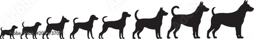 Foto Size progression of black dog silhouettes