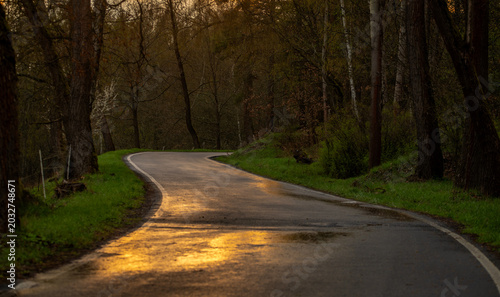 Cuadro en lienzo Asphalt wet road after rain with sunset evening colors in west Bohemia mountains