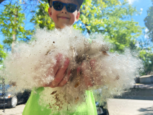 Obraz na płótnie A boy wearing sunglasses stands outside in the spring, holding in his hands the airy seeds of poplar fluff that cause allergies in people