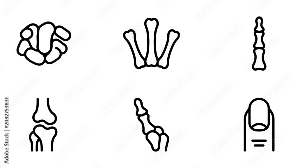 Fototapeta premium Human Bone Anatomy Icons: Hand, Finger, Knee, Joint, Skeleton Elements, Medical Illustration