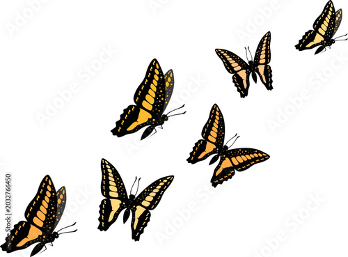Group of butterflies is flying around. Animal vector illustration.