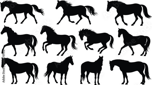 Fényképezés Horse Silhouette Collection Featuring Running Standing and Walking Equine Poses