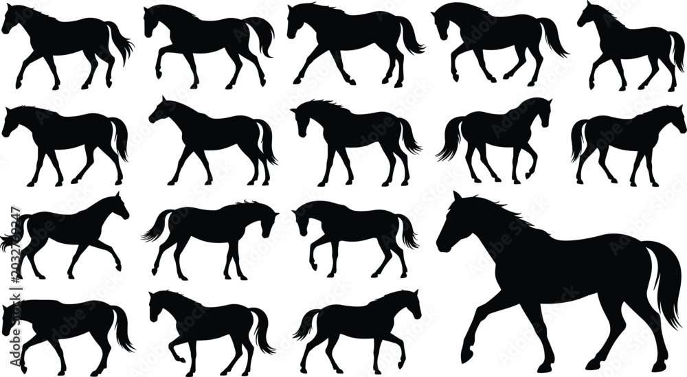 Fototapeta premium Horse Silhouette Collection Featuring Running Walking and Grazing Equine Poses Isolated on White Background