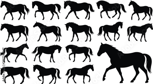 Fényképezés Horse Silhouette Collection Featuring Running Walking and Grazing Equine Poses I