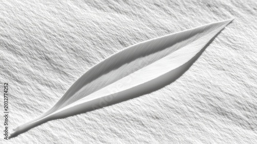 A white feather on a white surface.