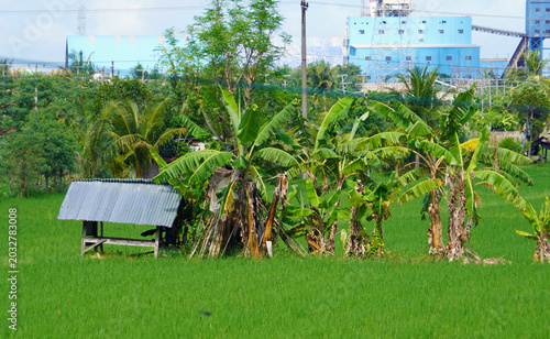 Blue power plant behind lush greenery