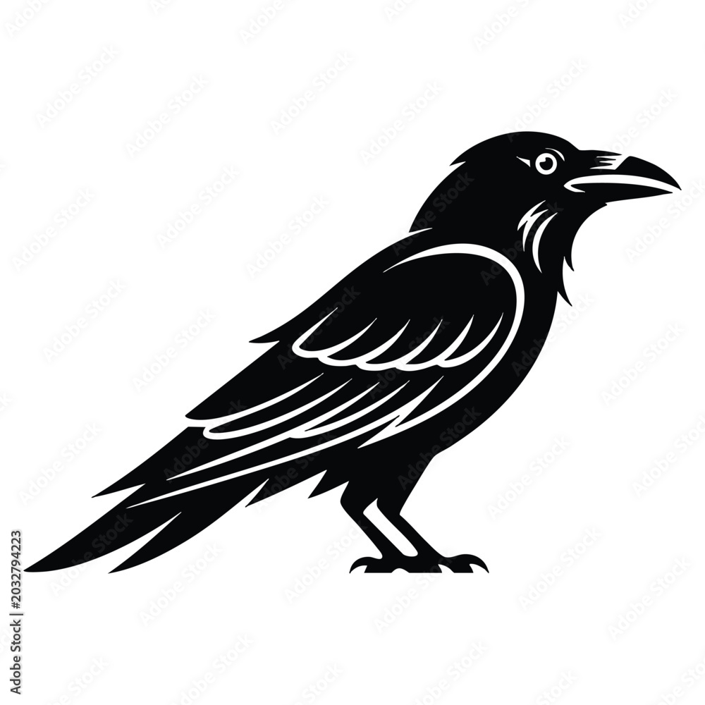 Obraz premium Detailed black raven silhouette in standing pose with sharp beak and feathers. Represents mystery, dark beauty, and nature themed artwork.