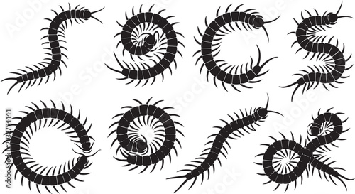 Vector set of centipede and myriapod silhouettes. Diverse multi-legged creatures in dynamic serpentine and coiled forms, ideal for nature-inspired graphic designs