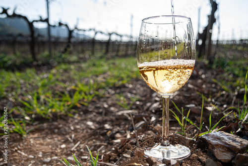 Canvastavla White wine pours into a glass, creating bubbles on the surface, set against a bl