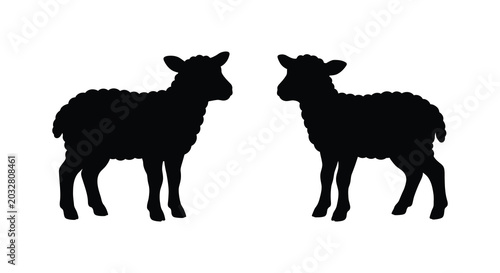 Two lambs facing each other a black silhouette against a white background silhouette lamb sheep ovine