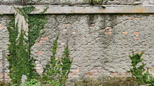 Fényképezés weathered, industrial style wall featuring a combination of textures and natural element