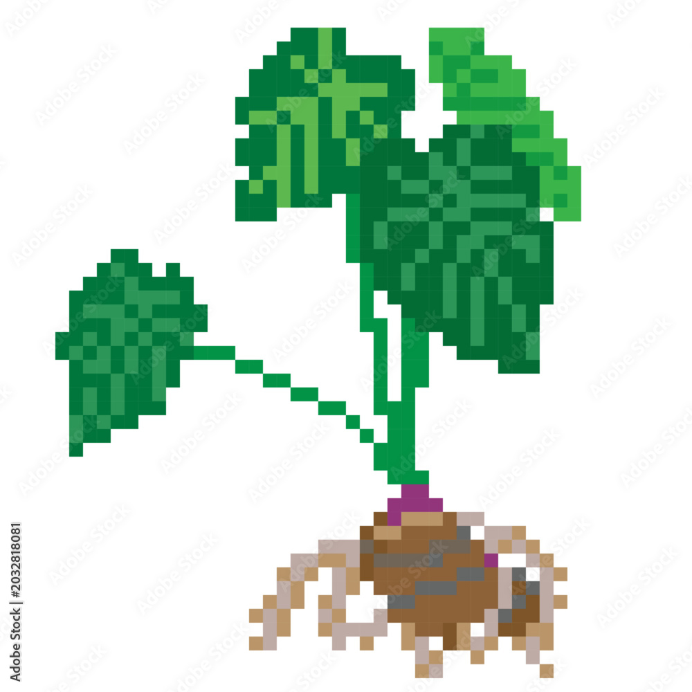 Fototapeta premium Tuber Pixel Art Satoimo - Pixel Art Sample