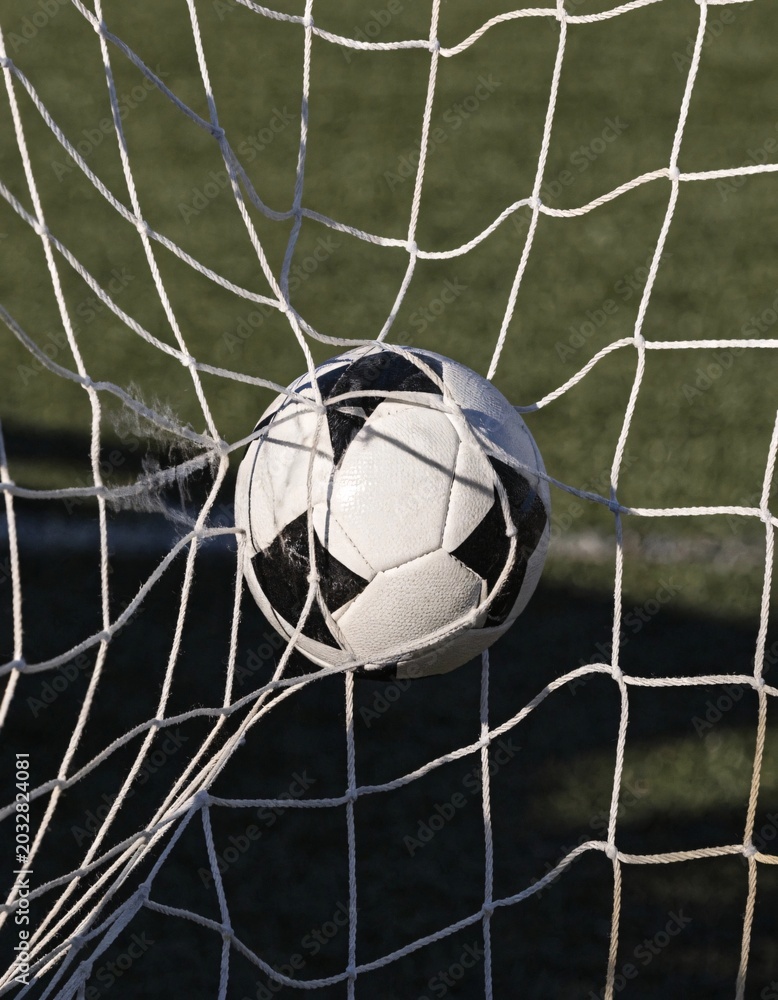 Naklejka premium Soccer ball hitting the goal net during a professional football match