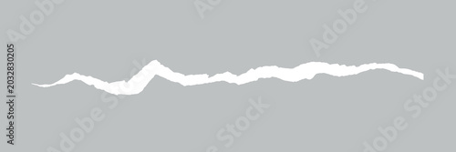 Foto White torn paper edge design vector