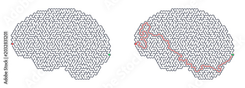 Fényképezés Maze puzzle in shape of human brain with red solution line