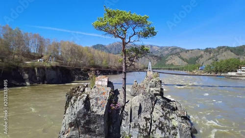 Pine On Stones. Single Pine Above Flowing River. Lone Pine Atop Rugged River Rocks. Secluded Pine Tree Perched On Jagged River Stones Overlooking Valley