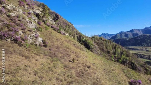 Quiet Outdoor Landscape With Greenery. Relaxing Scenery Featuring Tranquil Water And Abundant Plant Life. Calm Outdoor Setting Displaying Peaceful Waters Surrounded By Vibrant And Lush Vegetation