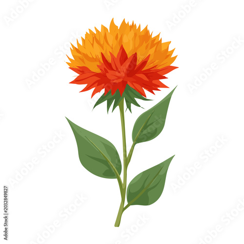 Quadro su tela Modern flat 2D vector illustration of a Safflower, minimal design style on a white background