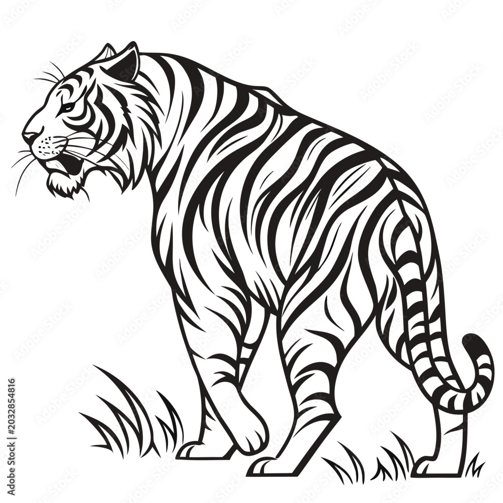 Fototapeta premium Tiger Artistic Outline Vector 1