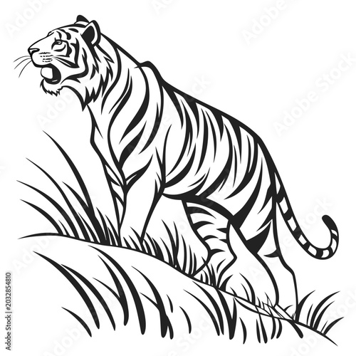Photography Tiger Artistic Outline Vector