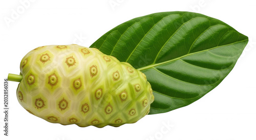 A single, ripe noni fruit with a textured, pale green surface and a large, vibrant green leaf isolated against a solid black background
