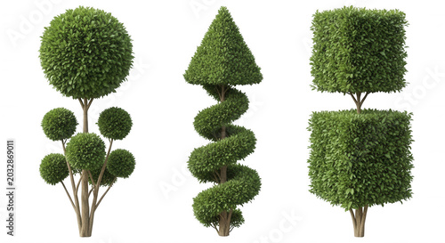 Three decorative topiary trees with spherical, spiral, and cubic shaped foliage isolated on a solid black background