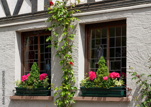 Tableau sur toile Traditional half timbered house windows with colorful flower boxes and climbing