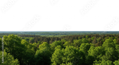 Aerial view of a dense green forest canopy under a stark black horizontal bar covering the sky, landscape