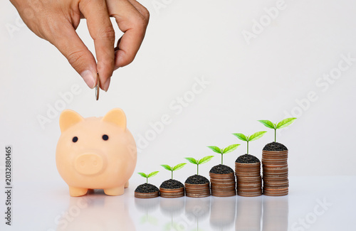 Hand putting coin into piggy bank with stacked coins and growing plants on white background. Concept of saving money,financial growth,investment planning,wealth management,long-term financial success.