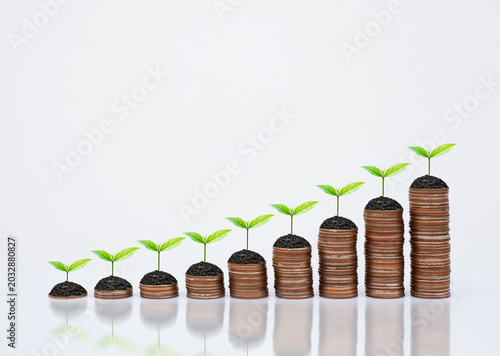 Coin stack money saving concept with green leaf plants growing on rows of coins on white background. Concept of financial growth, investment planning, and business finance. money management wellness.