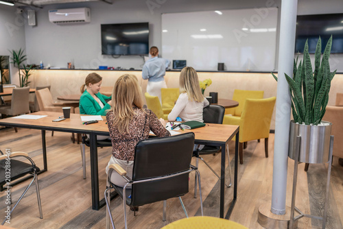 Cuadro en lienzo Meeting women presentation, coworkers attend corporate seminar at long table in