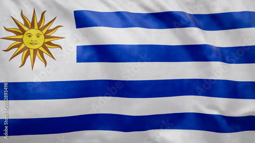 Uruguayan flag waves softly in the breeze. 2026 soccer tournament participating team flags. Perfect for football and sports event graphic assets. Uruguay Flag