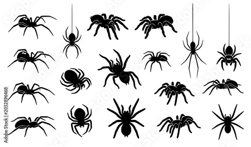 Bild auf Leinwand Flat Black Spider Silhouette Vector Set with Creepy Halloween Arachnid Icons