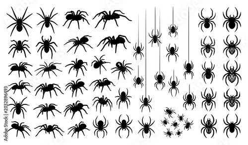 Bild auf Leinwand Black Spider Silhouette Vector Collection with Flat Creepy Halloween Insect Desi