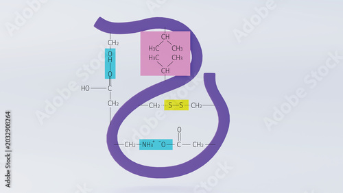 3d illustration of hydrophobic interactions in polypeptide chains with chemical bonds