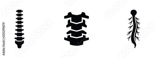 Foto Human Spine and Spinal Cord Anatomy Icons