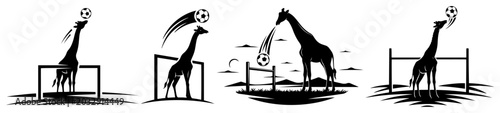 Fotografie Giraffe playing soccer with football near goalposts black and white vector silho