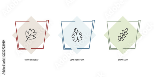 Fotografie nature icon set with hawthorn leaf, leaf monstera, briar leaf signs in flat outl
