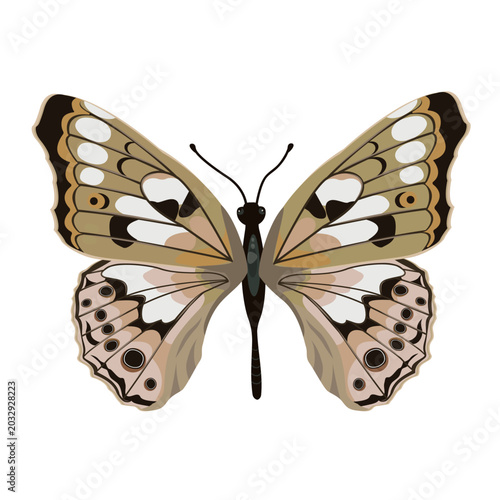 A realistic butterfly on a white background, perfect for decorating postcards, invitations and textiles. This is a vector illustration