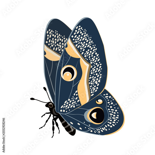 A realistic butterfly, on a white background, perfect for decorating postcards, invitations and textiles. This is a vector illustration.