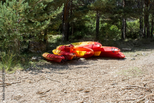 canoes lie on the shore under the trees