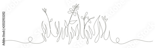 Continuous line drawing simple botanical nature art flowers foliage stems leaves wild.