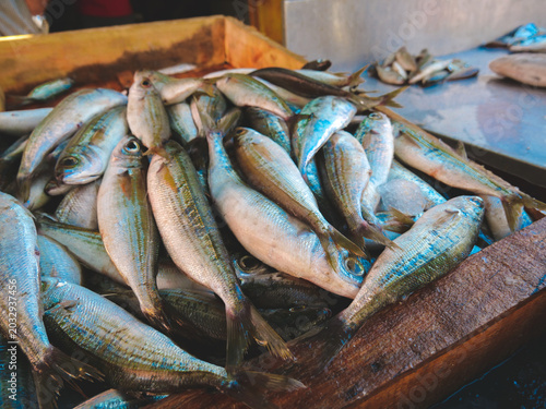 Fotografía Fresh Fish Market Display in Traditional Coastal Seafood Market