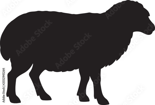 Tableau sur toile sheep vector