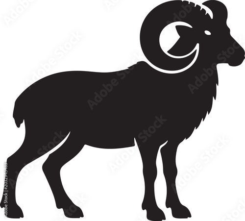 Fotografija sheep vector