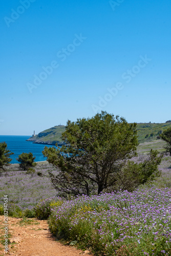 adriatic coast south of Otranto in Apulia
