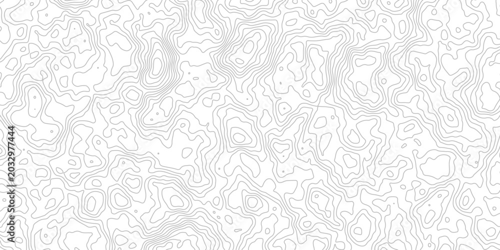 Obraz premium Abstract topographic map contour lines background in light grey on white for geographic cartography or landscape design.