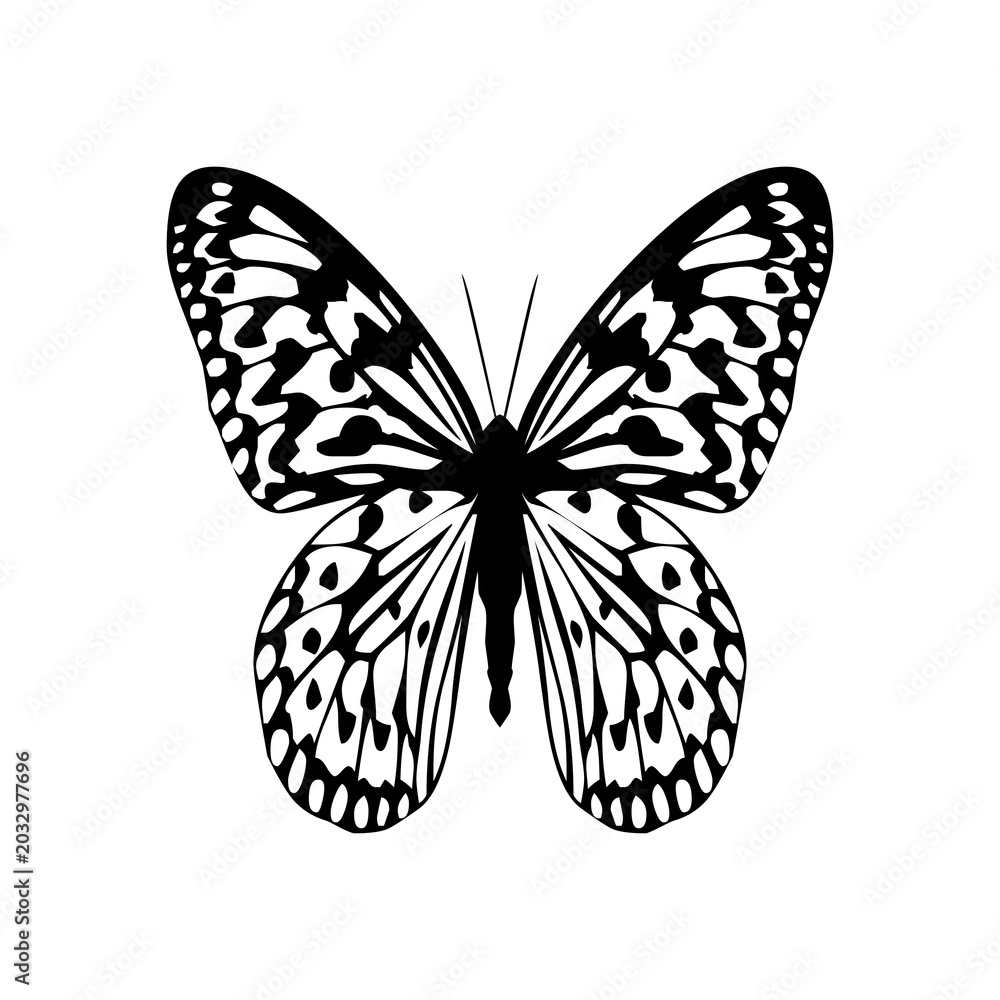 Fototapeta premium Unique design with transparent background