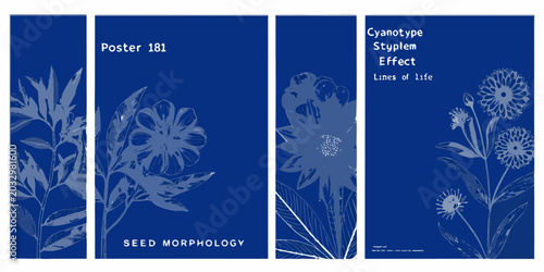 Bild auf Leinwand Cyanotype Botanical Illustrations With Floral Morphology On Blue Backgrounds